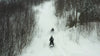 Two snowmobilers riding through the bush together up a trail cut into a hill